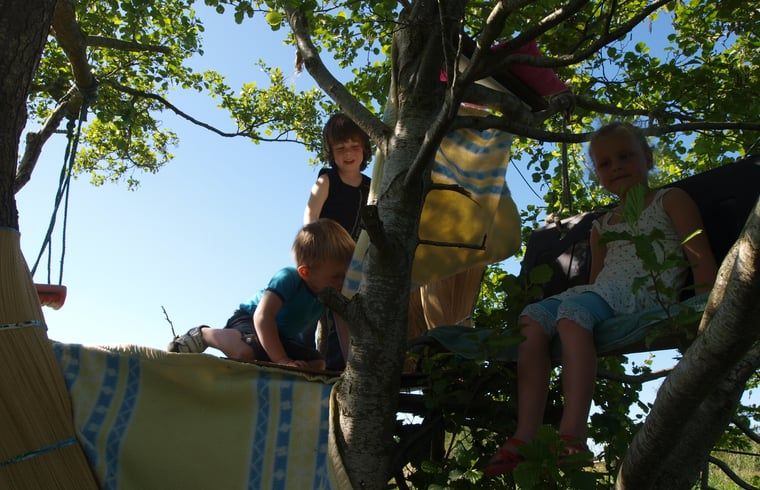 Kinderen spelen in de natuur rondom Vakantiehuisje in Boijl, midden in de Friese bossen.