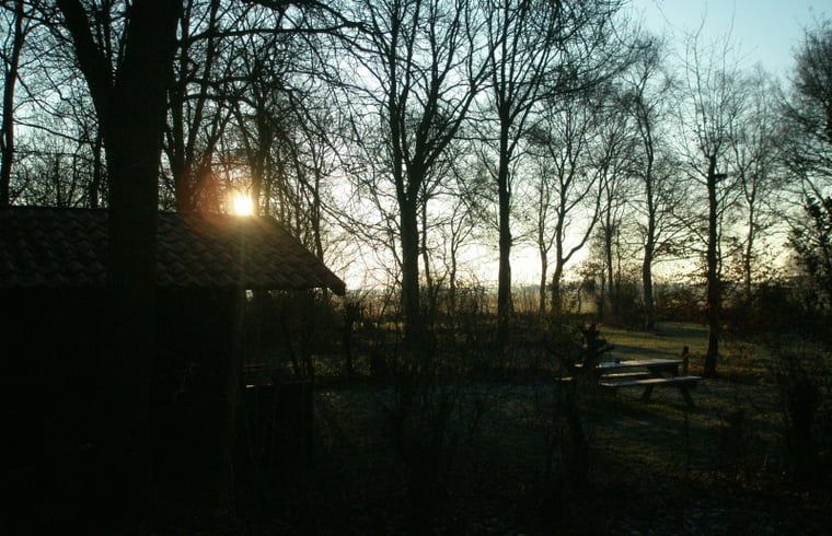 Zonsondergang in de Friese bossen bij Vakantiehuisje in Boijl, een serene vakantiebestemming.