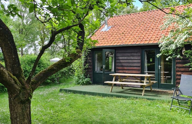Vakantiehuisje in Boijl met terras en picknicktafel, omringd door de Friese bossen.