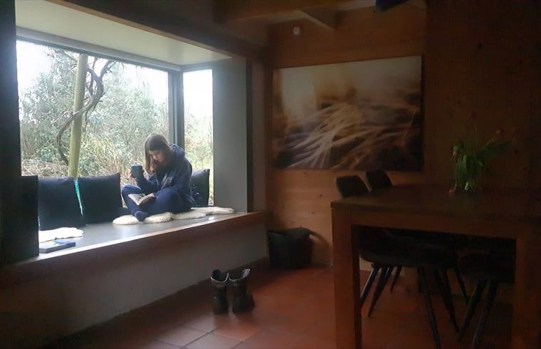 Knusse leeshoek in Vakantiehuisje in Boijl, met uitzicht op de Friese bossen.