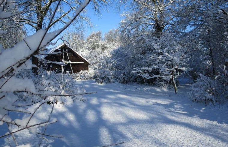 Sneeuw bedekt Vakantiehuisje in Boijl, een winterwonderland in de Friese bossen van Friesland.