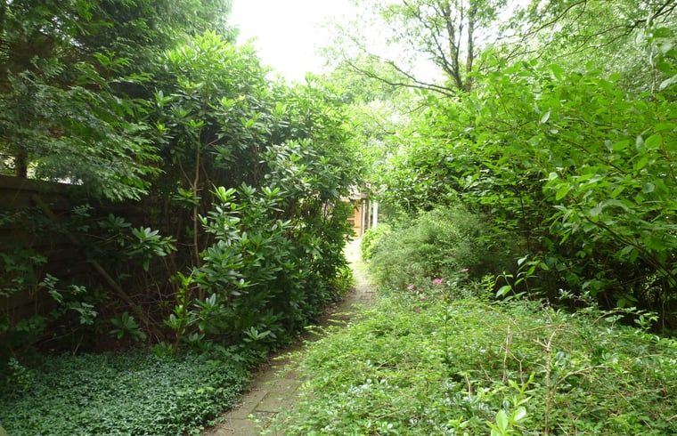 Unterkunft 231511 - Ferienhaus Friese bossen - Vakantiehuis in Boijl