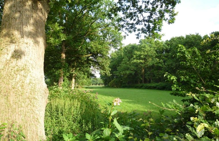 Unterkunft 231511 - Ferienhaus Friese bossen - Vakantiehuis in Boijl