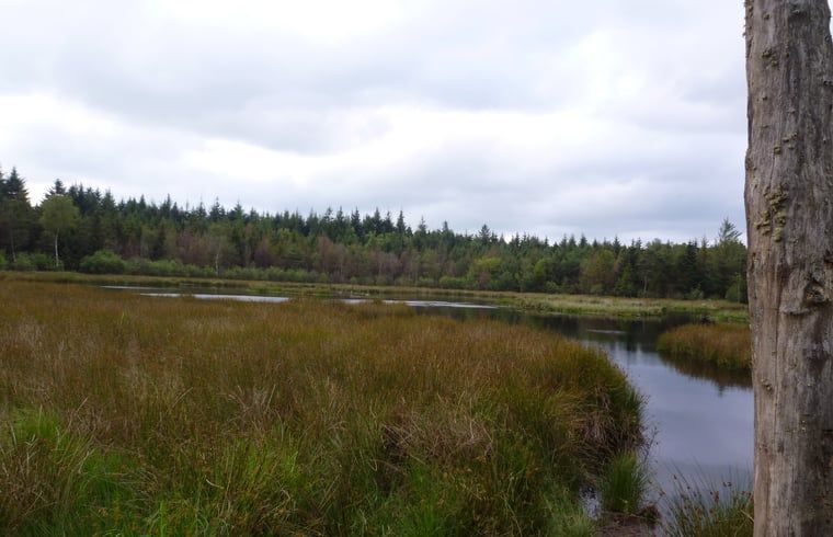 Unterkunft 231511 - Ferienhaus Friese bossen - Vakantiehuis in Boijl