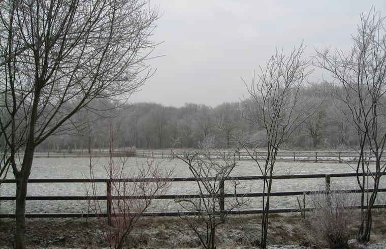 Unterkunft 231511 - Ferienhaus Friese bossen - Vakantiehuis in Boijl