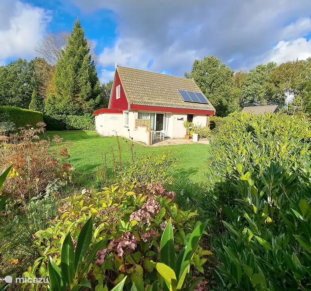 Guest house 231518 - Holiday property Friese bossen - De Merel
