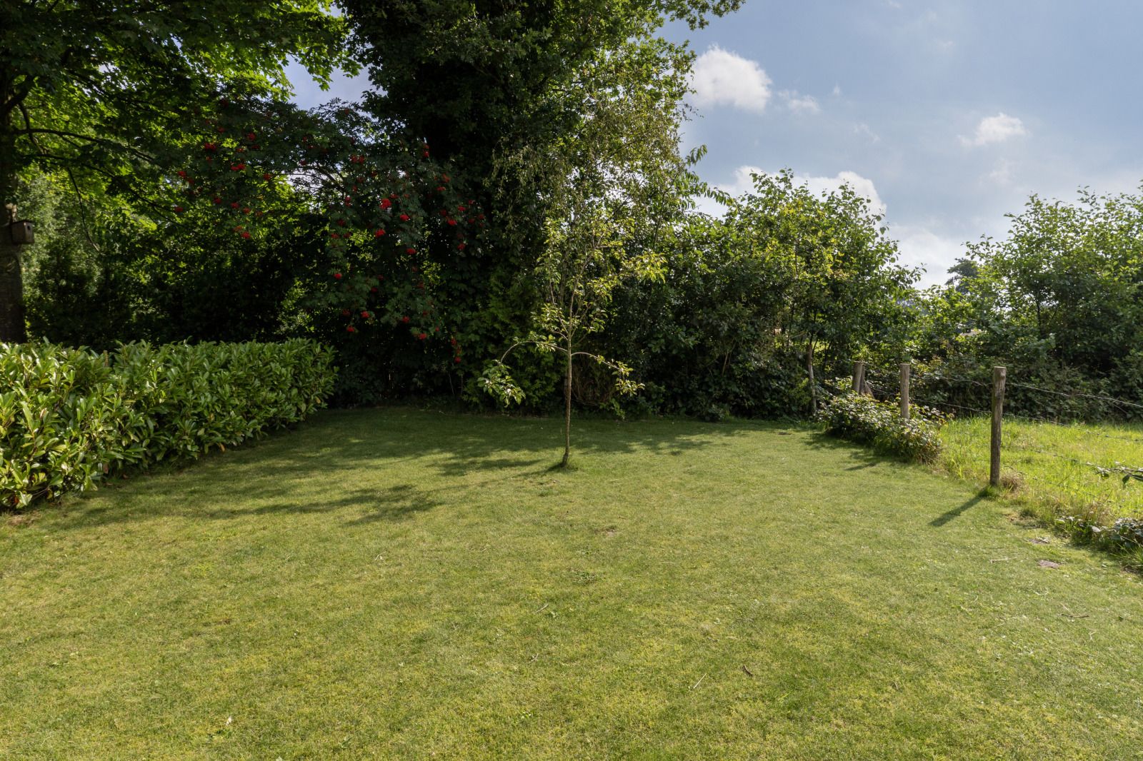 Unterkunft 232706 - Ferienhaus Friese bossen - FR117