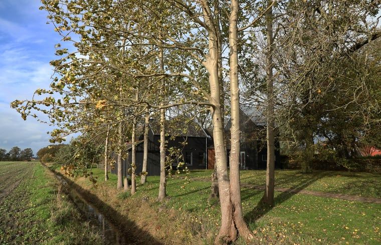 Guest house 233002 - Holiday property Friese bossen - Vakantiehuisje in Harich