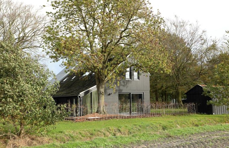 Guest house 233002 - Holiday property Friese bossen - Vakantiehuisje in Harich