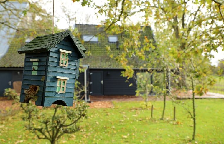 Guest house 233002 - Holiday property Friese bossen - Vakantiehuisje in Harich