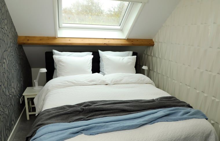 Guest house 233002 - Holiday property Friese bossen - Vakantiehuisje in Harich