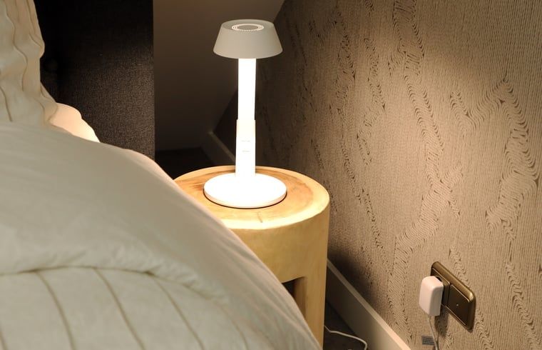 Guest house 233002 - Holiday property Friese bossen - Vakantiehuisje in Harich