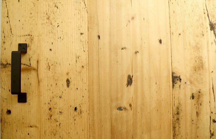 Guest house 233002 - Holiday property Friese bossen - Vakantiehuisje in Harich