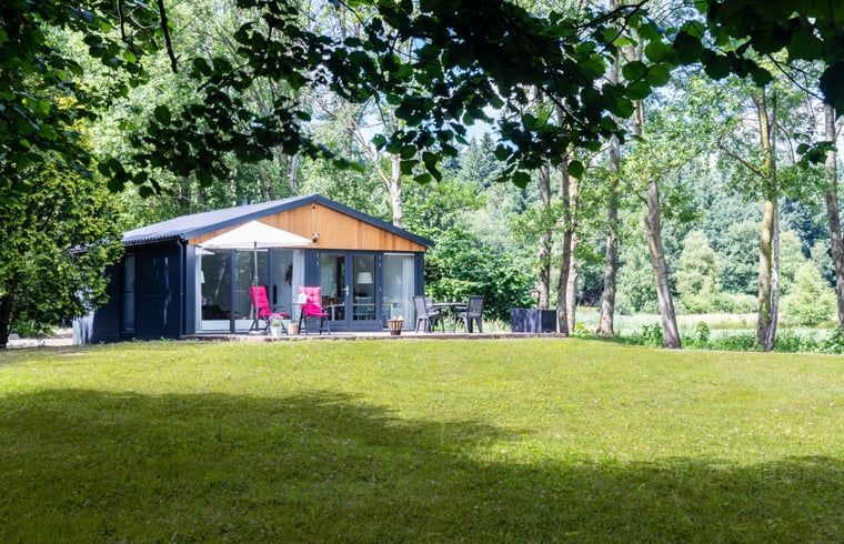 Das Ferienhaus in Ravenswoud, ein charmantes Ferienhaus in den friesischen Waeldern von Friesland, bietet rustikalen Charme und eine grosszuegige Terrasse mit Blick auf die Natur.