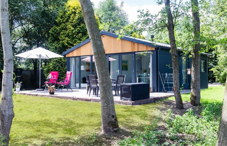 Ferienhaus in Ravenswoud, ein Ferienhaus in den friesischen Waeldern von Friesland, mit sonniger Terrasse und umgeben von gruener Natur.
