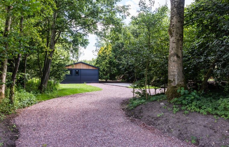 Unterkunft 233224 - Ferienhaus Friese bossen - Huisje in Ravenswoud