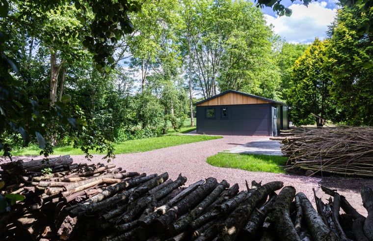 Unterkunft 233224 - Ferienhaus Friese bossen - Huisje in Ravenswoud