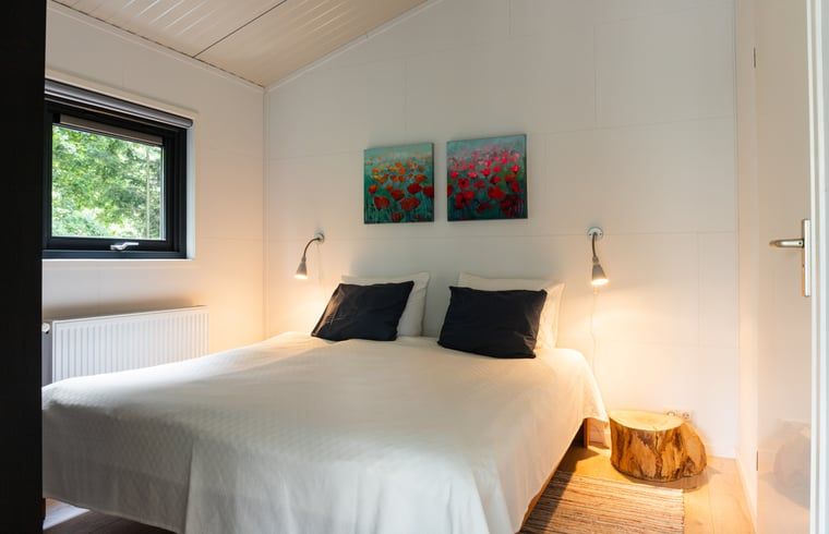 Unterkunft 233224 - Ferienhaus Friese bossen - Huisje in Ravenswoud