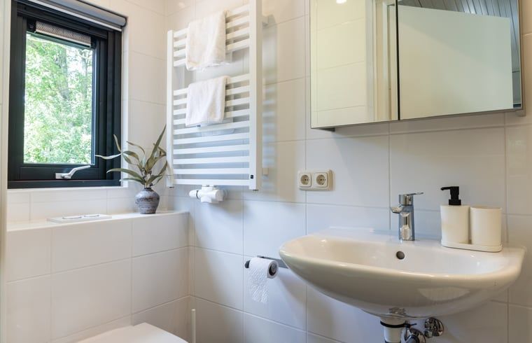 Unterkunft 233224 - Ferienhaus Friese bossen - Huisje in Ravenswoud