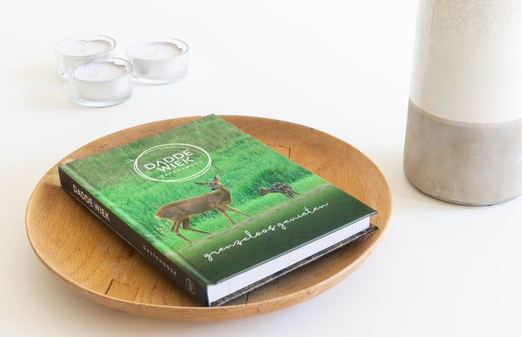 Unterkunft 233224 - Ferienhaus Friese bossen - Huisje in Ravenswoud