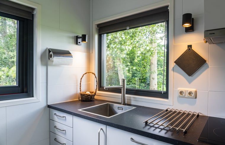 Unterkunft 233224 - Ferienhaus Friese bossen - Huisje in Ravenswoud