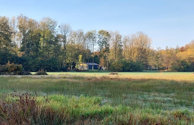 Unterkunft 233224 - Ferienhaus Friese bossen - Huisje in Ravenswoud