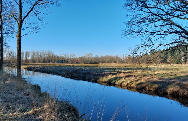 Unterkunft 233224 - Ferienhaus Friese bossen - Huisje in Ravenswoud