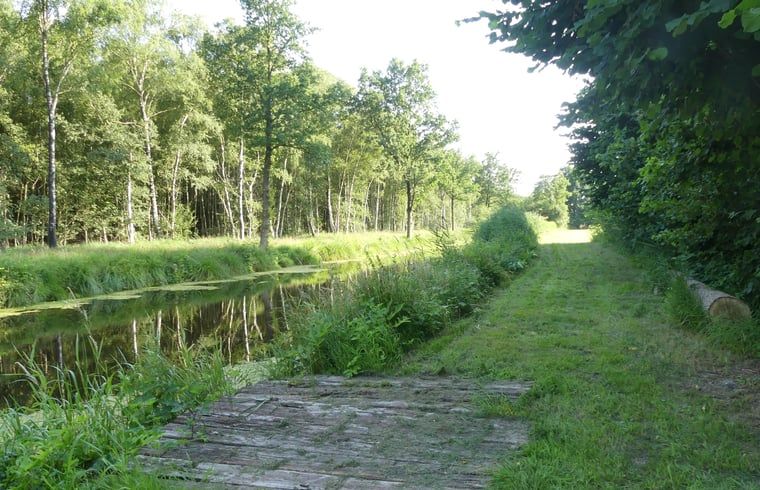 Unterkunft 233224 - Ferienhaus Friese bossen - Huisje in Ravenswoud