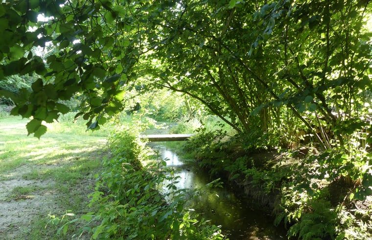 Unterkunft 233224 - Ferienhaus Friese bossen - Huisje in Ravenswoud