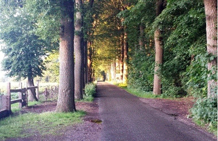 Wooded area around Holiday home in Steggerda, located in Friesland.