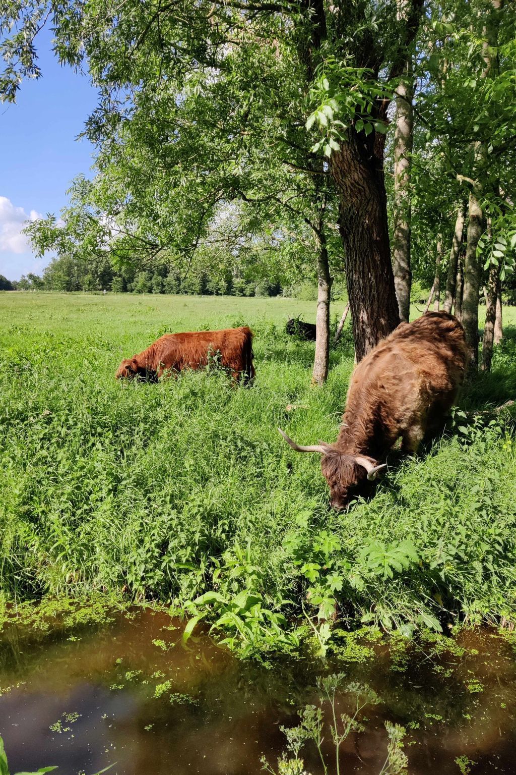 Verblijf 240120 - Appartement Friese elfsteden - Appartement Appartement in Leeuwarden mit Privater Terrasse