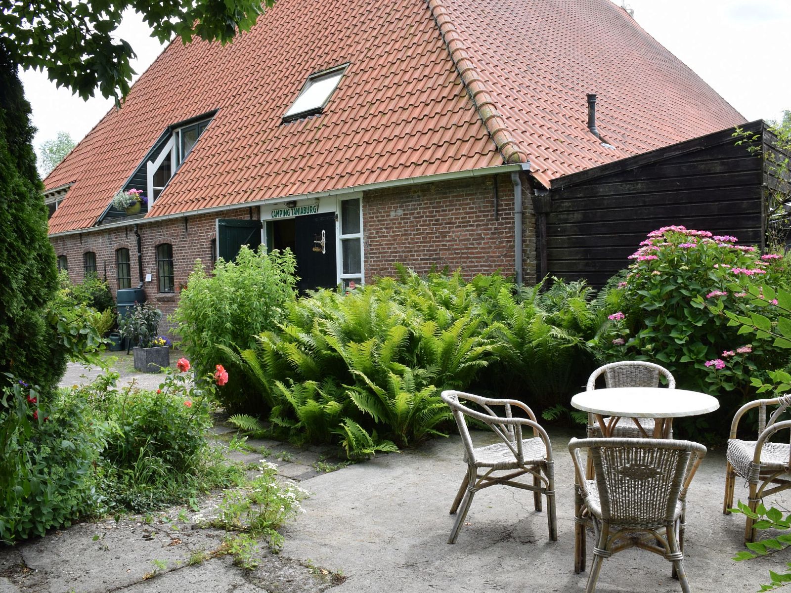 Unterkunft 240134 - Ferienhaus Friese elfsteden - Vakantiehuis Taniaburg Gästezimmer 1