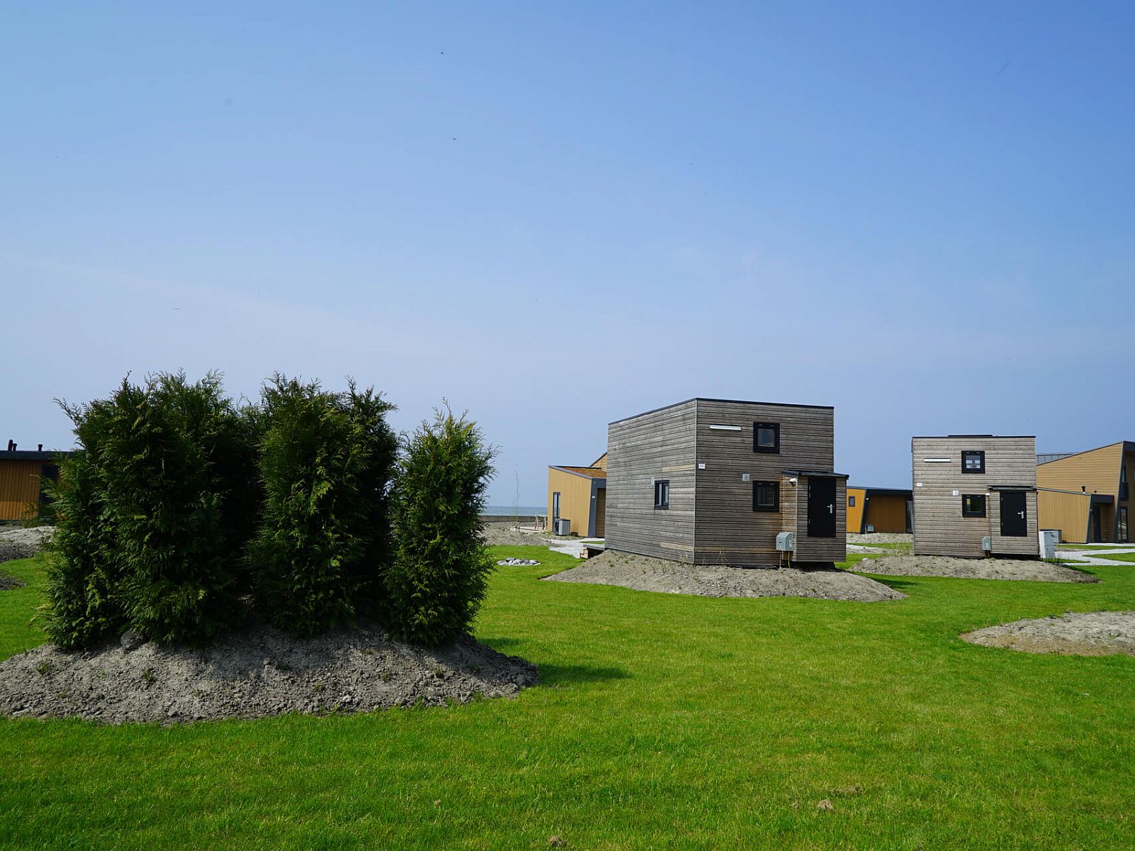 View of the green surroundings of Chalet in Hindeloopen, Friesland, with several chalets and lots of nature.