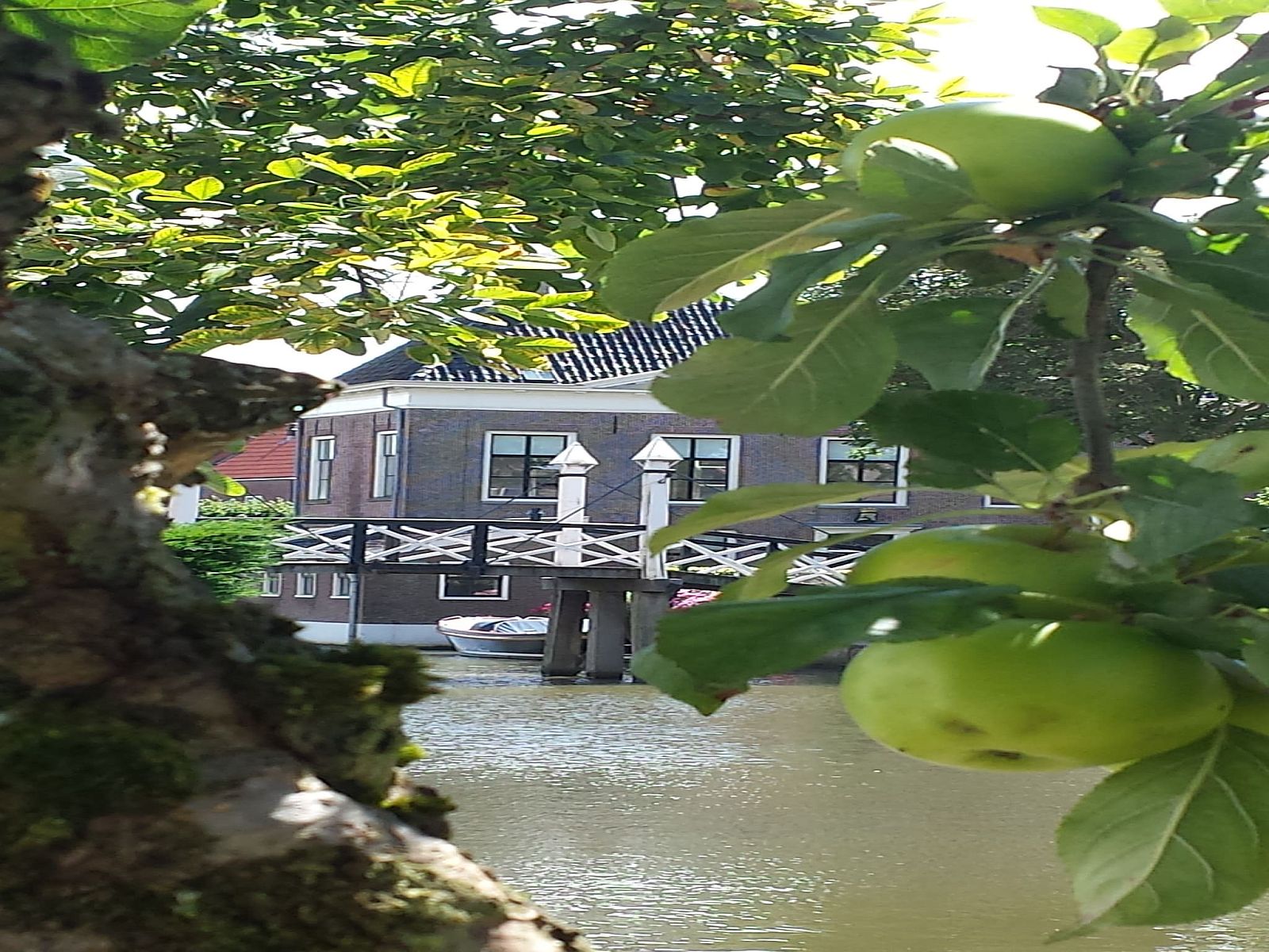 Verblijf 240539 - Vakantiewoning Friese elfsteden - Skippers Inn