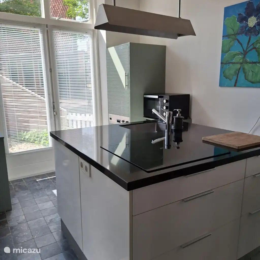 Guest house 240910 - Holiday property Friese elfsteden - Franeker Hûske