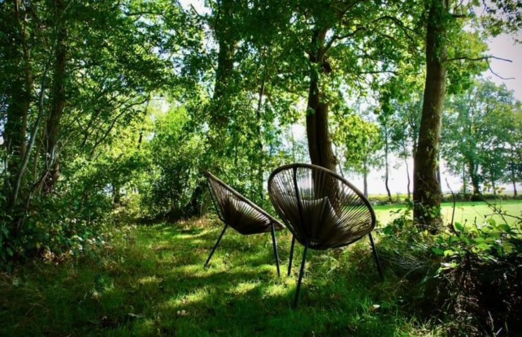 Schaduwrijke zitplek in de tuin van Vakantiehuisje in Donkerbroek, Friesland.