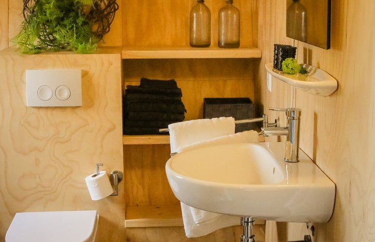 Unterkunft 260310 - Ferienhaus Het Friese platteland - Vakantiehuisje in Westergeest