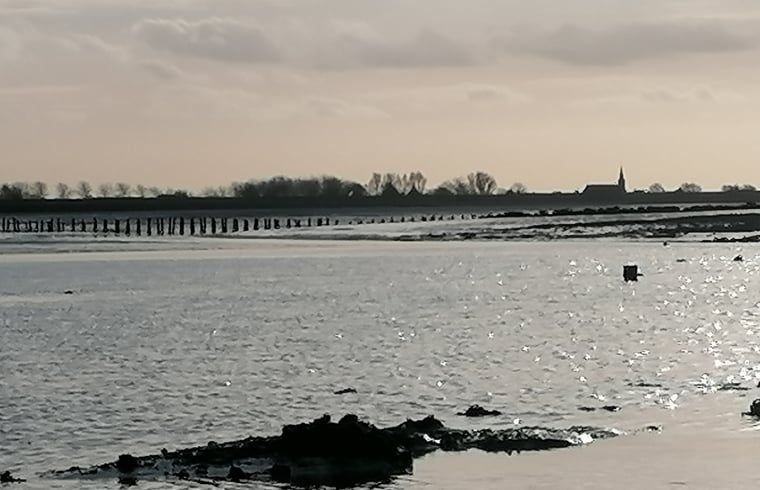 Uitzicht op de omgeving van Vakantiehuis in Moddergat, Het Friese platteland, Friesland.