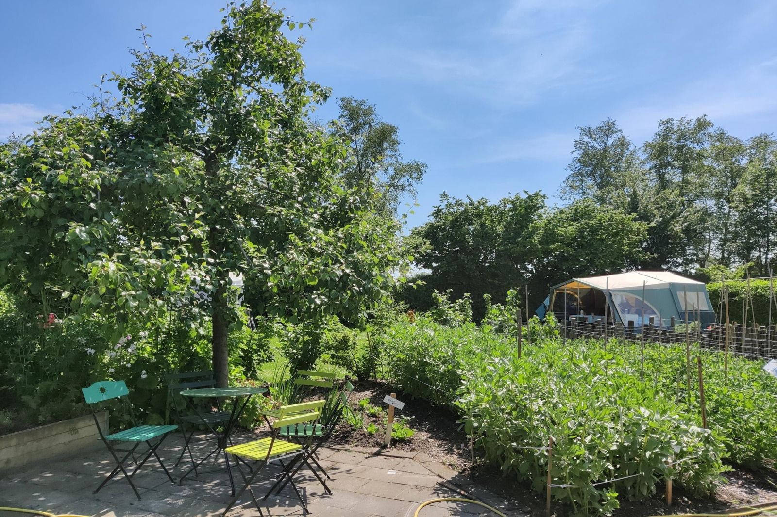 Unterkunft 260522 - Ferienhaus Het Friese platteland - «Large Green House»