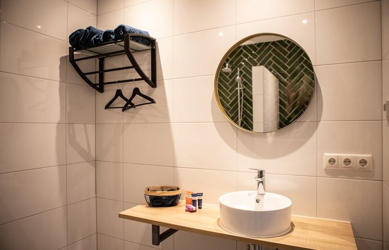 Guest house 260603 - Holiday property Het Friese platteland - Vakantiehuis in Blesdijke