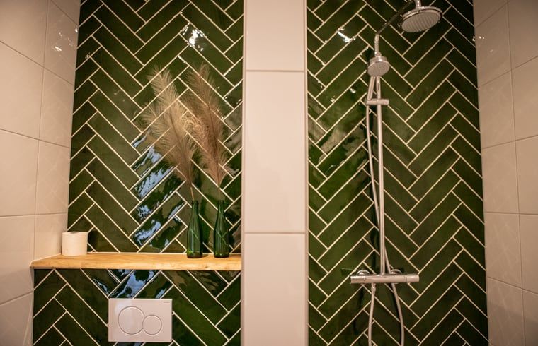 Guest house 260603 - Holiday property Het Friese platteland - Vakantiehuis in Blesdijke