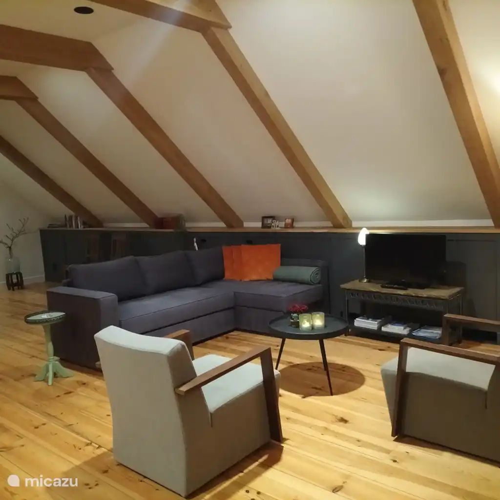 Guest house 260803 - Apartment Het Friese platteland - Coen's Loft