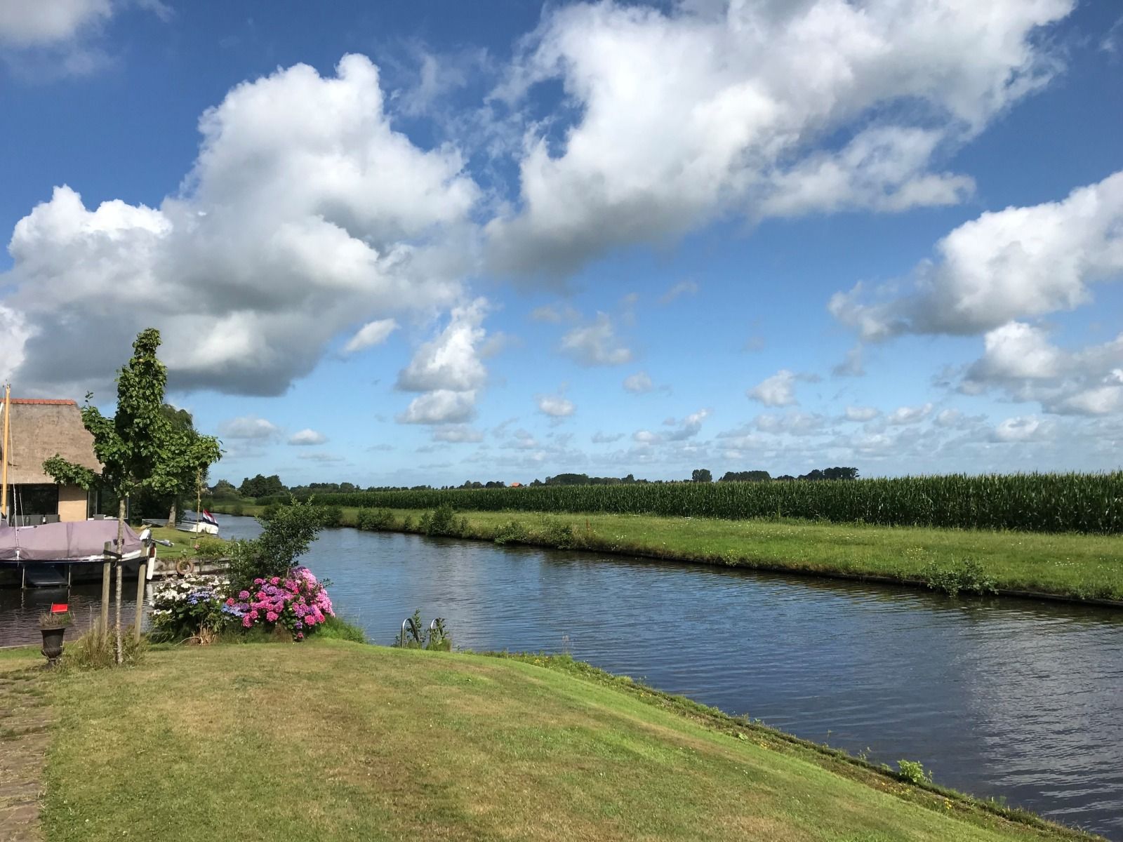 Verblijf 2610317 - Vakantiewoning Het Friese platteland - FR631