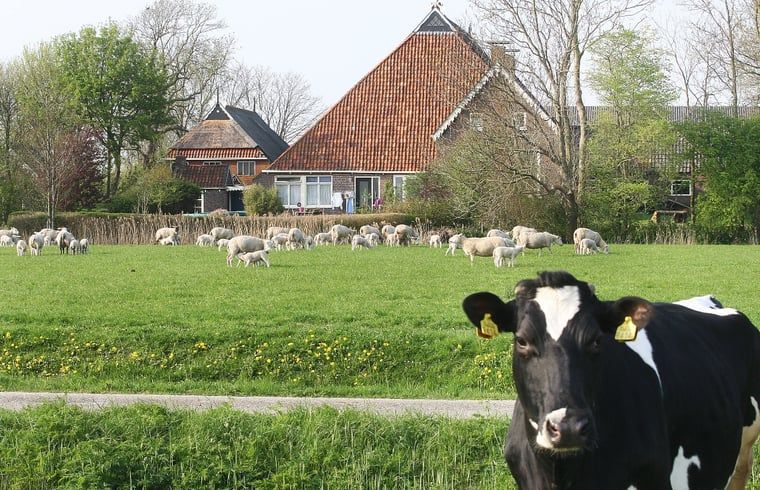 Unterkunft 2610702 - Ferienhaus Het Friese platteland - Huisje in Hiaure (vlakbij Dokkum)