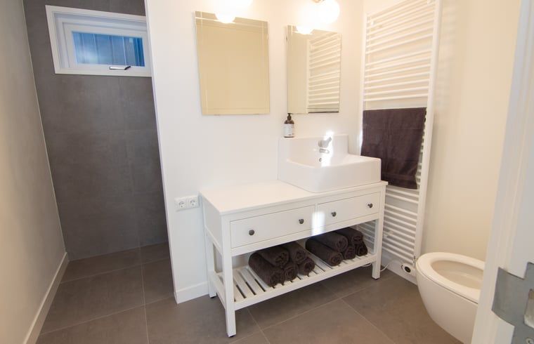 Cottage in Paesens, modern bathroom with stylish sink in Friesland.