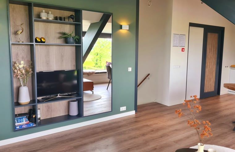 Stijlvolle woonkamer in Vakantiehuisje in Westhem met boekenkast en tv, Friese platteland, Friesland.