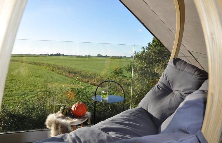 Adembenemend uitzicht vanaf het terras van Vakantiehuisje in Westhem, Friese platteland, Friesland.