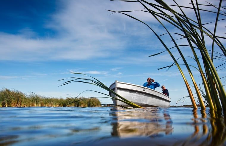 Boottocht op het water nabij Vakantiehuisje in Westhem, Friese platteland, Friesland.