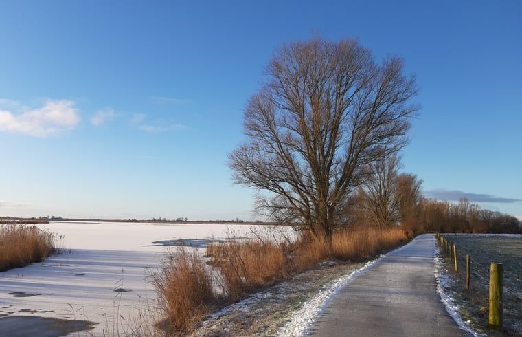 Winterlandschap rond Vakantiehuisje in Westhem met bevroren water, Friesland.
