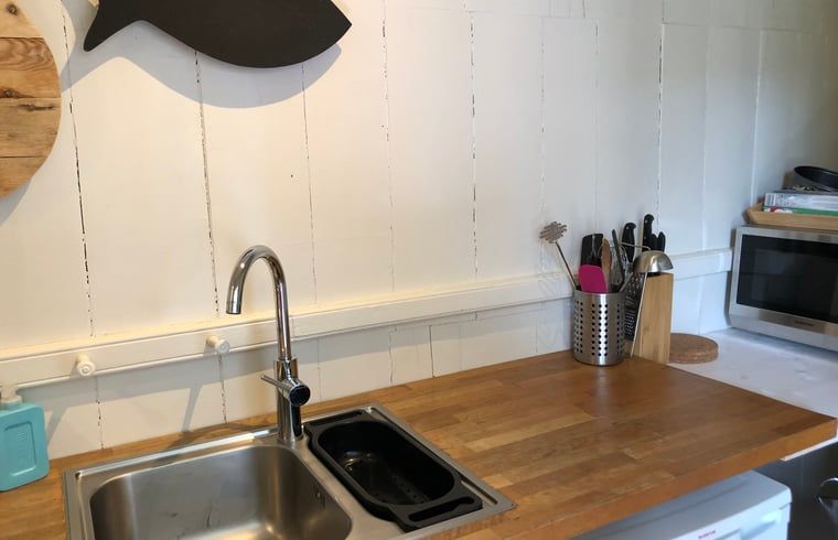 Guest house 2613003 - Holiday property Het Friese platteland - Huisje in Wijnaldum